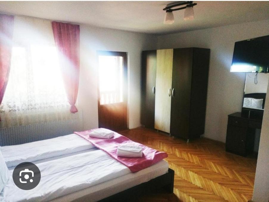 Vila Bianca Buşteni エクステリア 写真